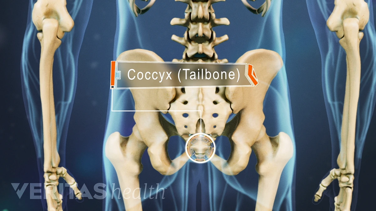 Dr Trust USA Tailbone Cushion  Instant Tailbone & Back Pain Relief