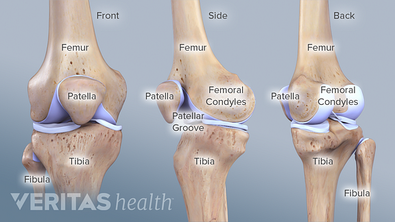 how age affects your risk for a meniscus tear