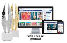 image of hermes silver and gold awards next to iMac, iPad, and iPhone with images of spine-health.com, arthritis-health.com, and sports-health on the screens.