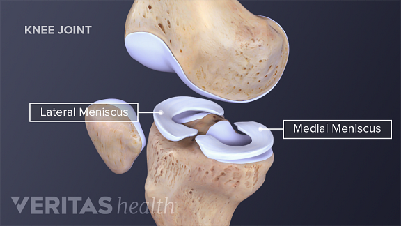 meniscus-anatomy.png?u=at8tiu&use=idsla&