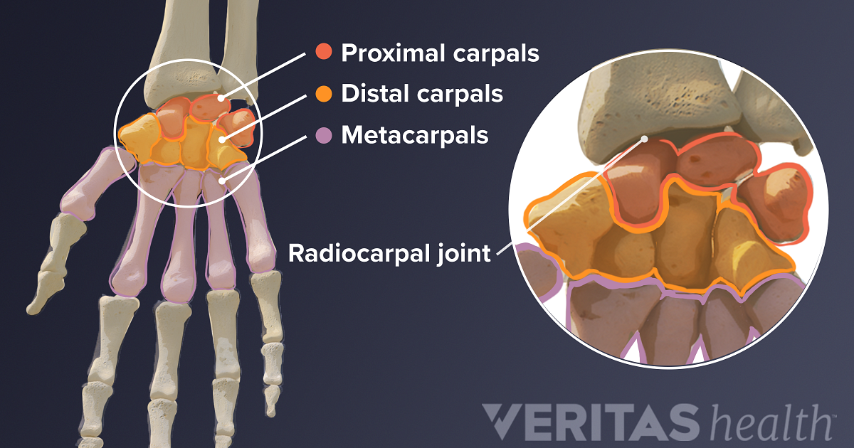 proximal-definition-sports-injury-related-medical-glossary