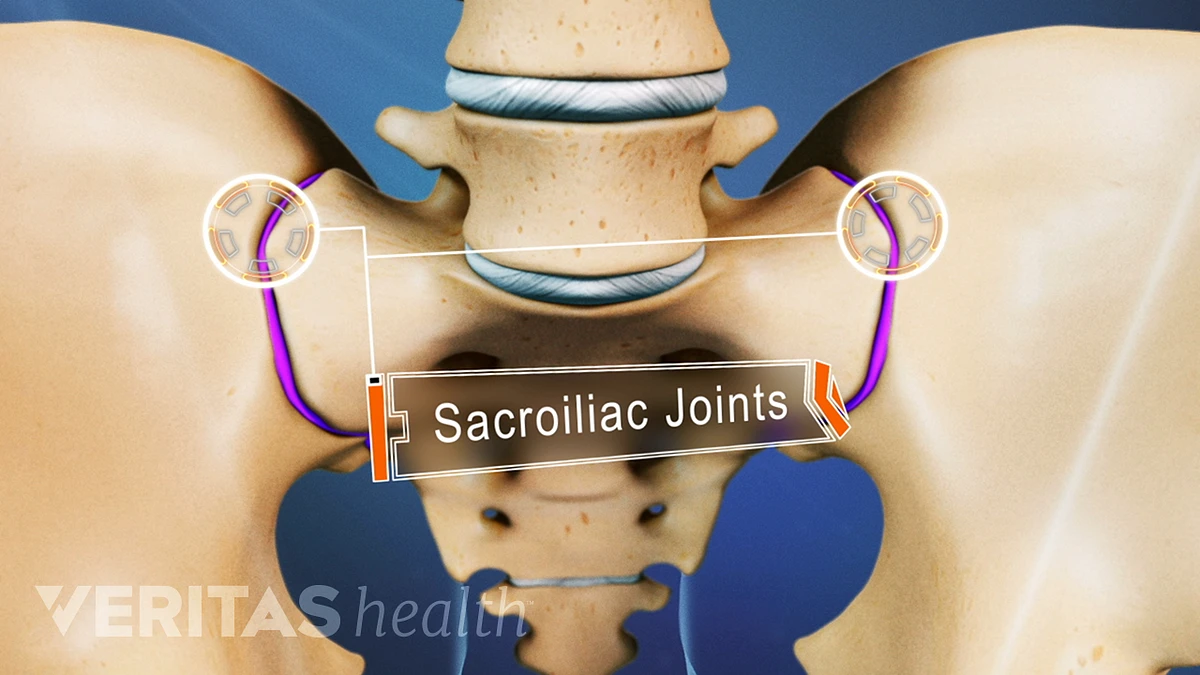 Sacroiliac Joint Anatomy