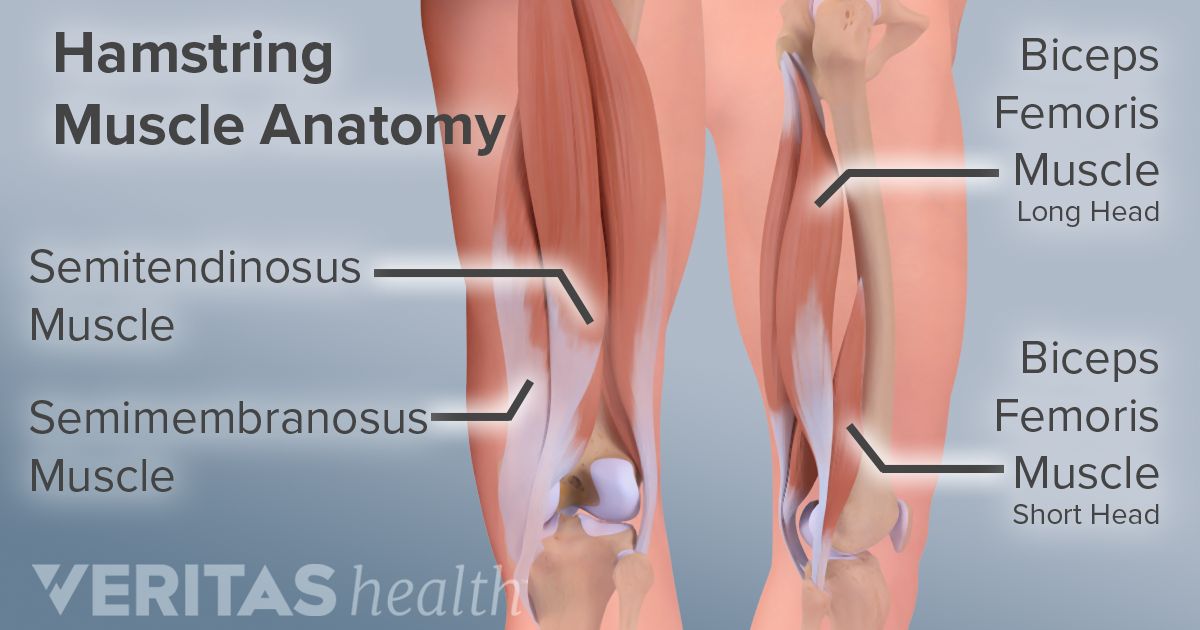 How Do Hamstring Tears Occur 6989