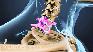 Cervical Spine Anatomy Video