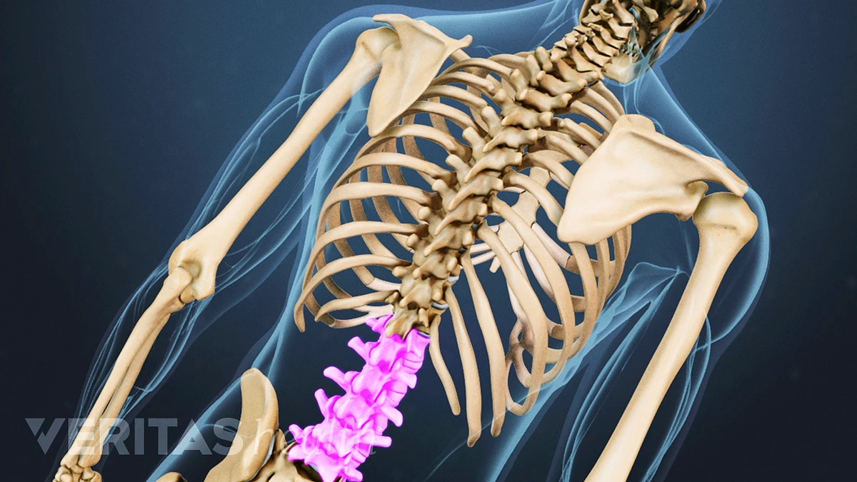 Dolor y anatomía de la columna lumbar | Spine-health