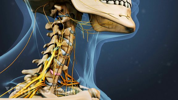 A Visual Guide to Anterior Cervical Discectomy and Fusion (ACDF) Surgery