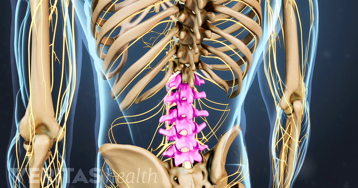 Lumbar Spine Anatomy And Pain