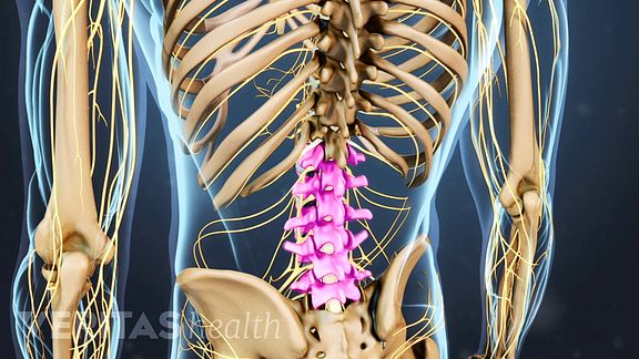 Lumbar Spine