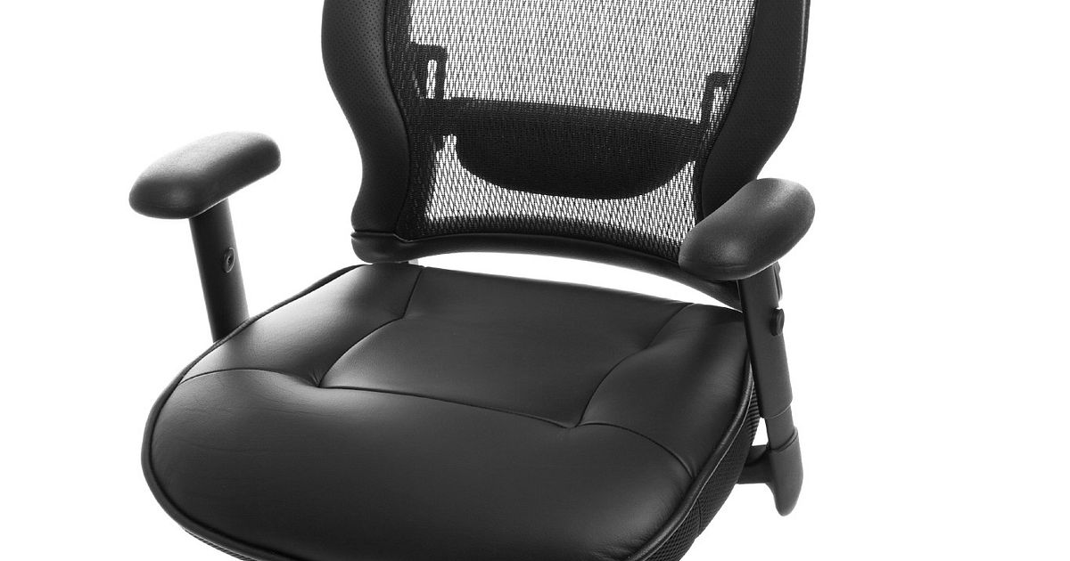 back brace for office chair