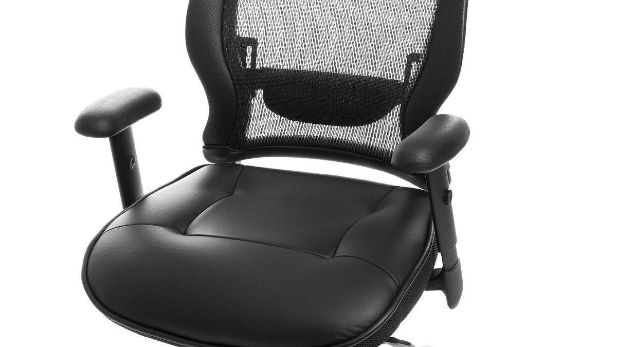 Ergonomic Mesh Chair Back Support Black Kiss My Back