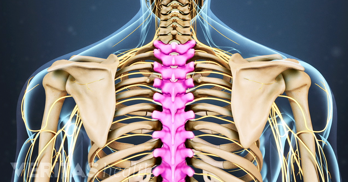 Thoracic Spine Anatomy And Upper Back Pain