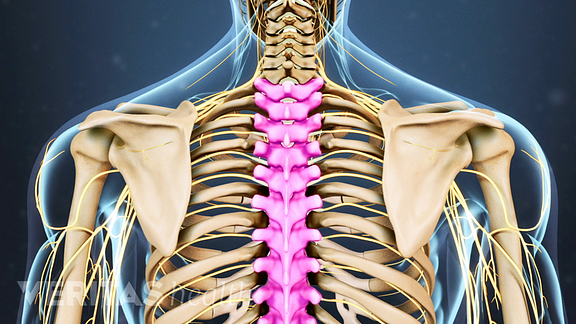 thoracic spine pain