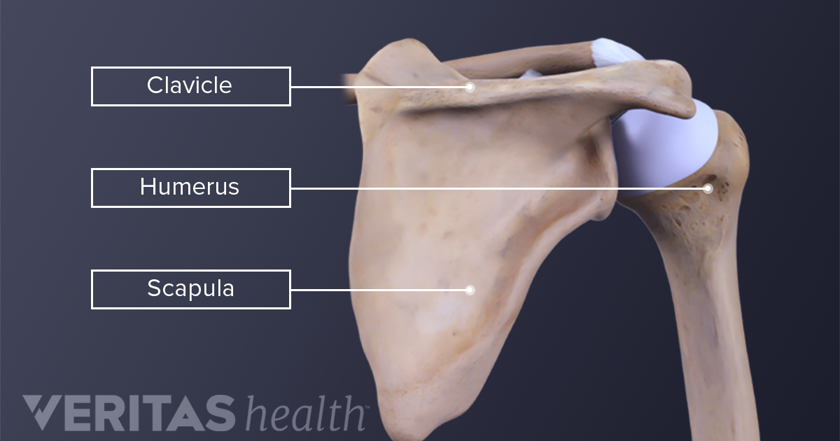 The 3 Types of Shoulder Fractures