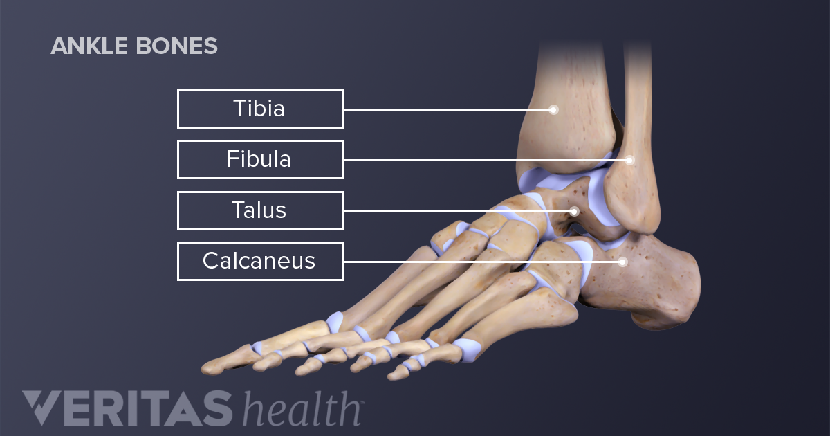 Ankle and Foot Braces