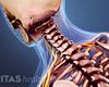 Cervical Spine Anatomy Video