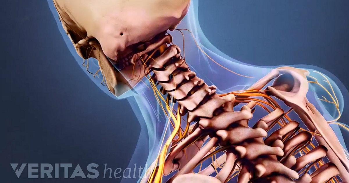 Upper Cervical Spine Anatomy