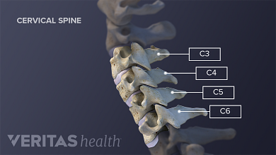 vertebrele cervicale mobile osteoartrita articulațiilor mici ale mâinilor