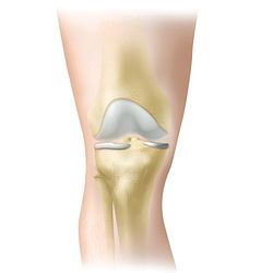 Knee-Healthy