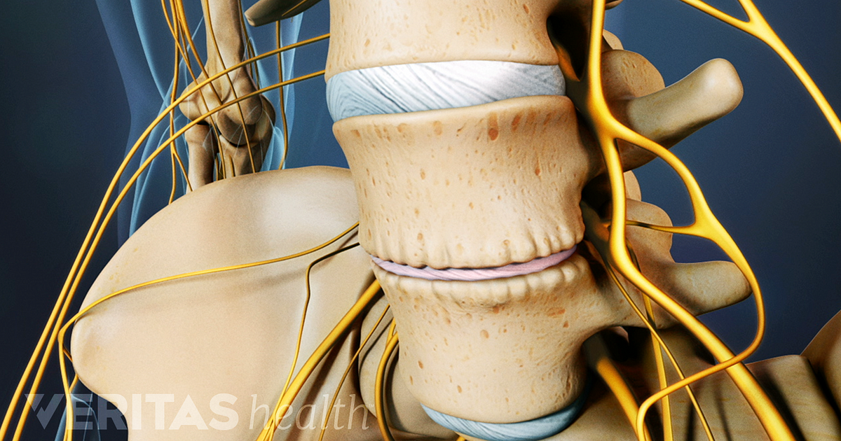 mid lumbar spine