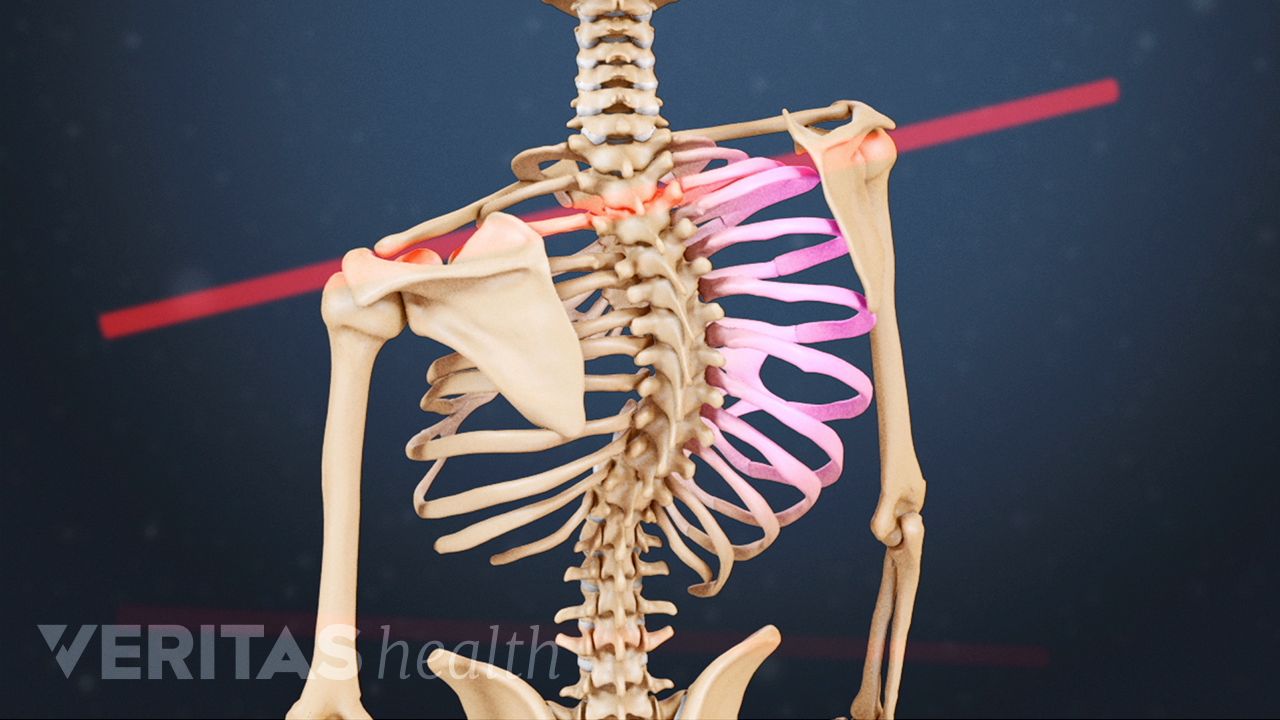 Video & Animation | Veritas Health Video & Animation | Veritas Health