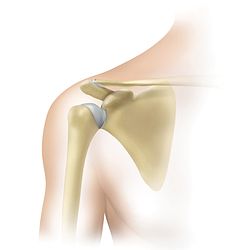 Shoulder-Healthy