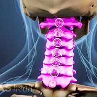 Cervical Vertebrae Definition | Back Pain and Neck Pain Medical Glossary