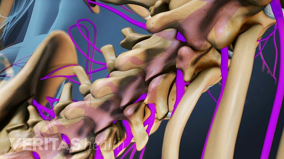 Lumbar Spine