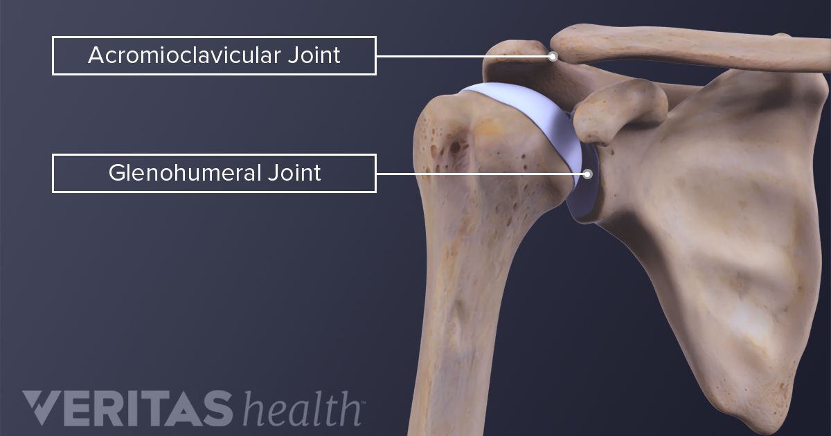 Shoulder Anatomy Acromioclavicular Joint