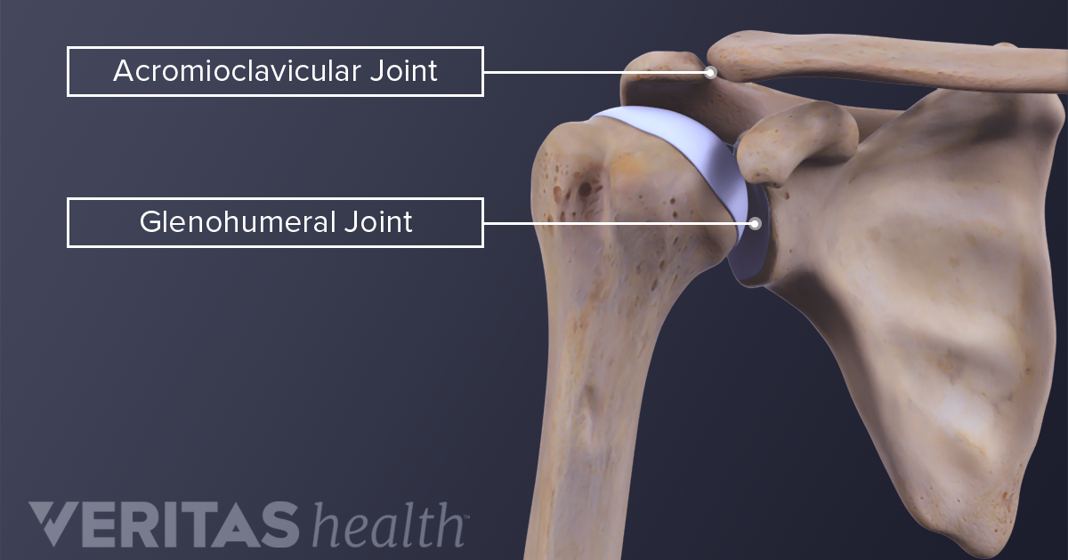 Left Acromioclavicular Joint