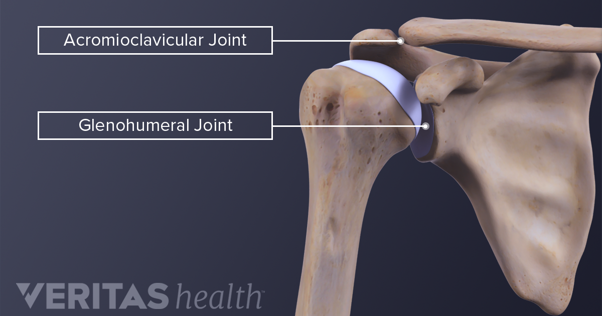 Acromioclavicular Joint Anatomy and Osteoarthritis