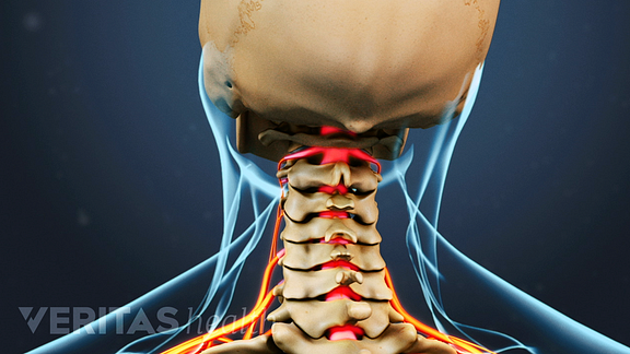 Animated video still showing the cervical spine