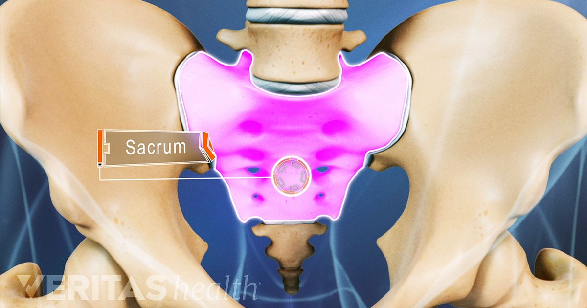 Sacrum Definition | Back Pain and Neck Pain Medical Glossary