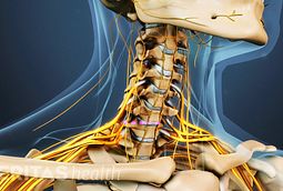 Anterior Cervical Corpectomy Video