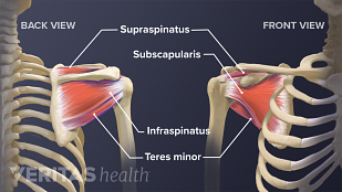 5 Labrum Tear Symptoms You Need to Know