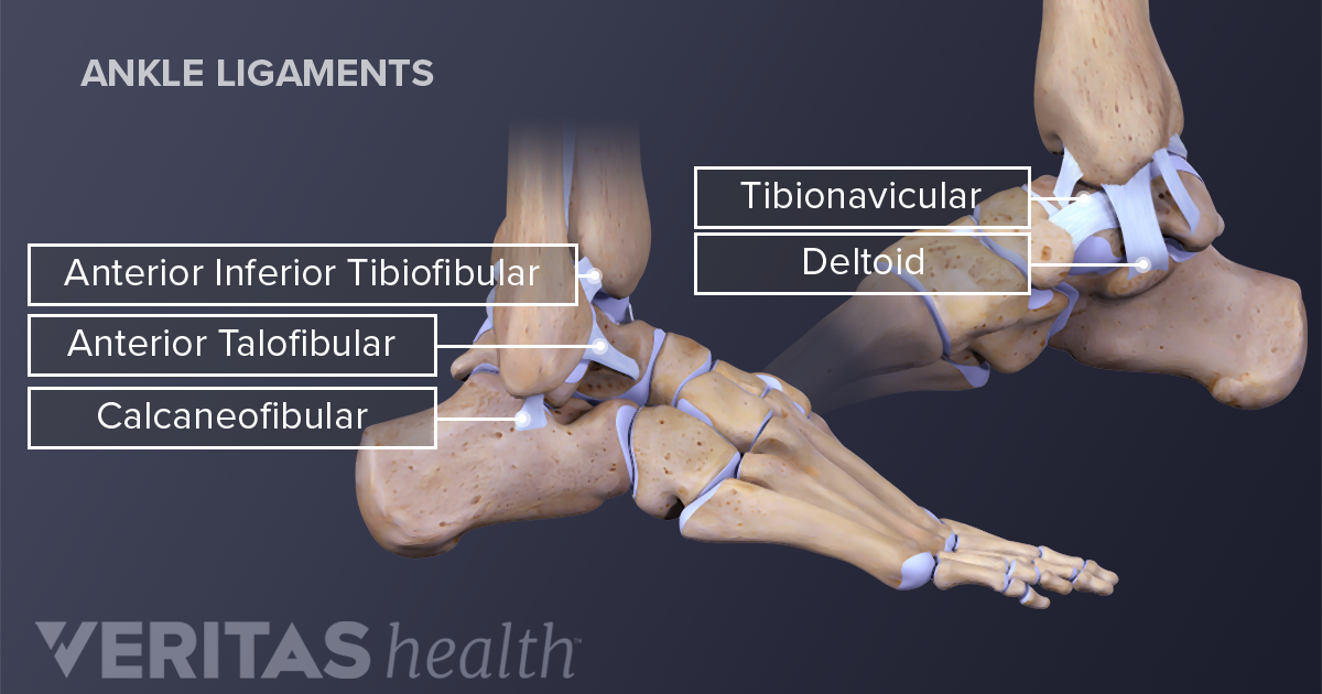 ankle sprain and strain signs and symptoms