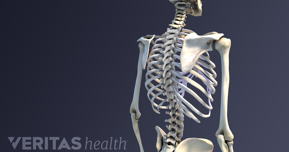 Spine Definition | Back Pain and Neck Pain Medical Glossary