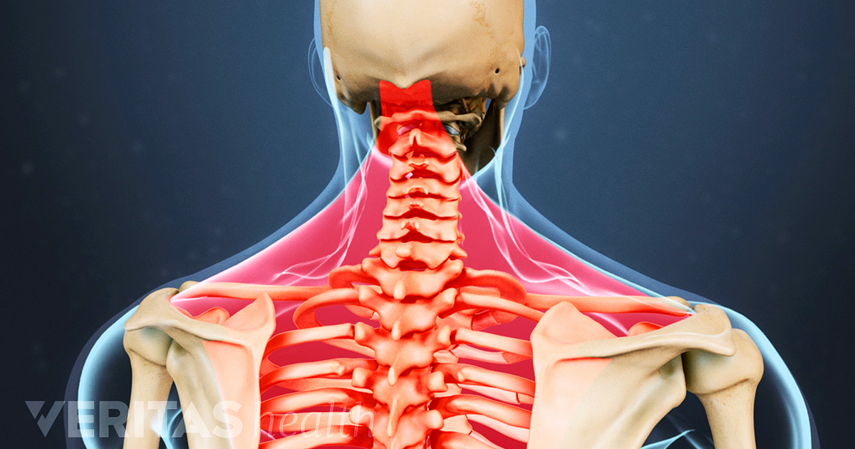 Cervical Spine Muscle Anatomy