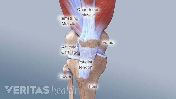 What You Need to Know About Kneecap Injuries