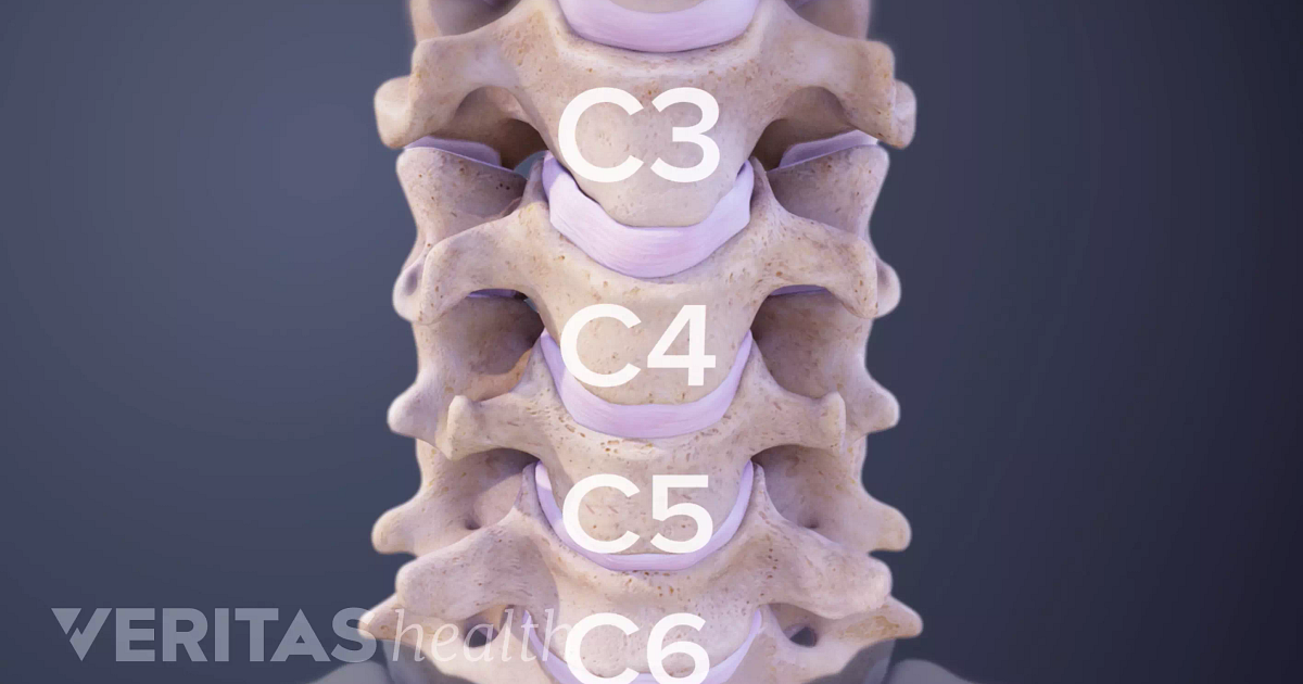 Cervical Spine Definition | Back Pain and Neck Pain Medical Glossary