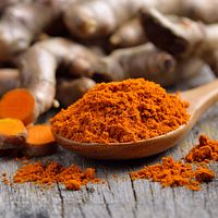 Spoonful of turmeric powder with turmeric roots in the background.