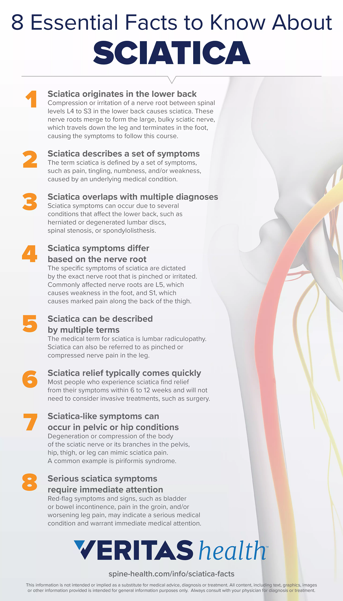 Chiropractor And Sciatica Treatment - Sciatica Treatment | Sciatica ...