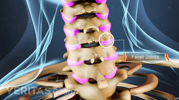 cervical facet joints