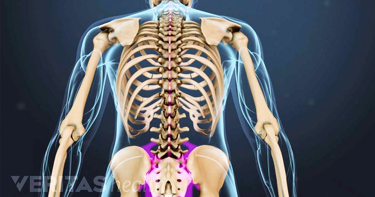 Spine Anatomy: Articles and Videos on the Spinal Column and Anatomical