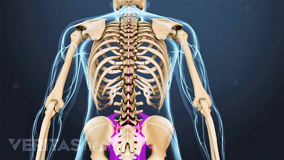 How Poor Posture can Stress the Psoas Muscle and Lead to Back Pain