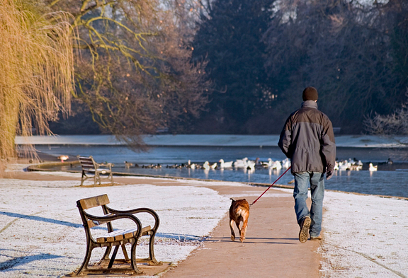 Man walking his dog