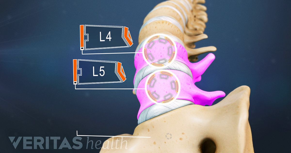 All about the L4-L5 Spinal Segment
