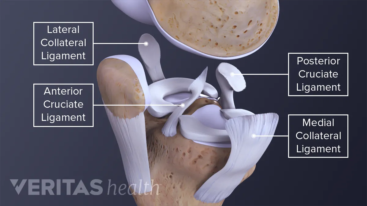 ligaments of the knee injury symptoms