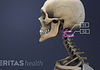 Lumbar Spine Anatomy and Pain
