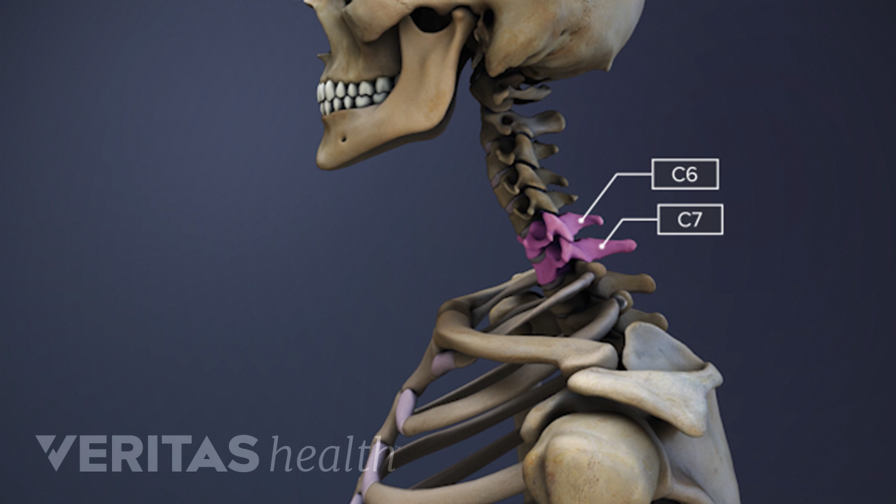 Spinal Motion Segment: C6-C7 Animation | Spine-health
