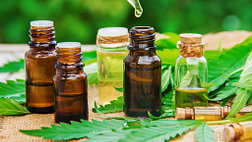 Several bottles of CBD oil